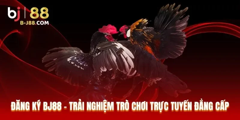 Đăng ký BJ88 – Trải nghiệm trò chơi trực tuyến đẳng cấp