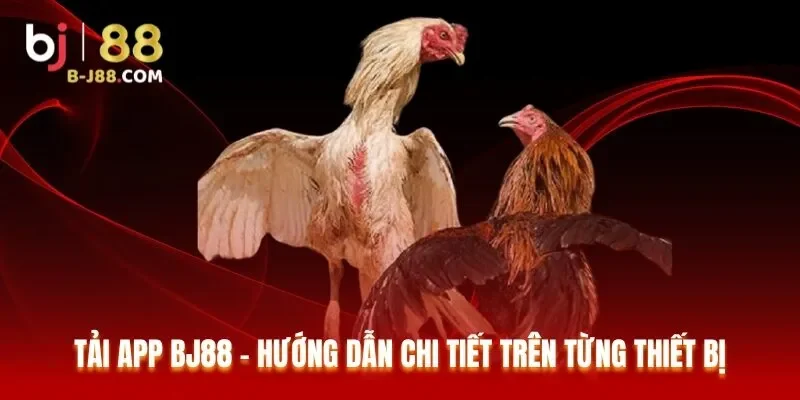 Tải App BJ88 – Hướng Dẫn Chi Tiết Trên Từng Thiết Bị